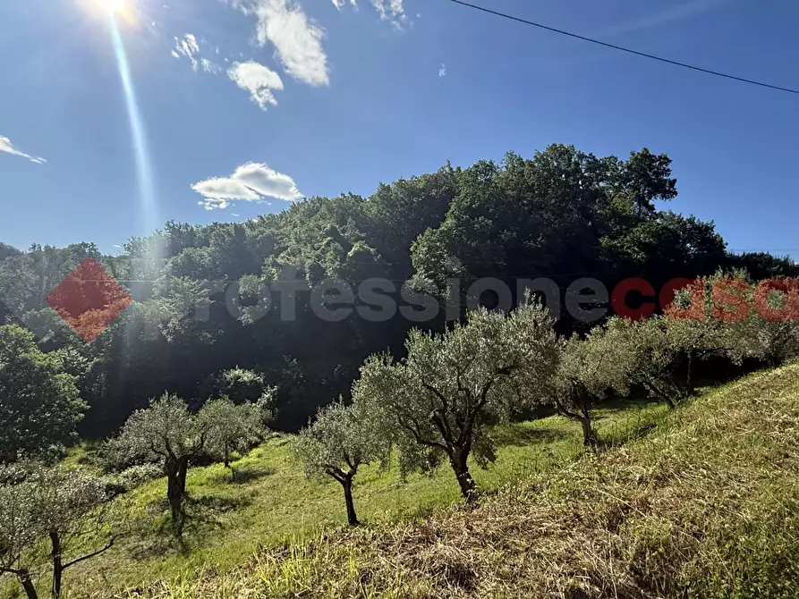 Immagine 17 di Terreno agricolo in vendita  in Via Vicinale PiÃ¨ di monte, snc a Fumone