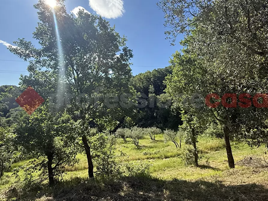 Immagine 8 di Terreno agricolo in vendita  in Via Vicinale PiÃ¨ di monte, snc a Fumone