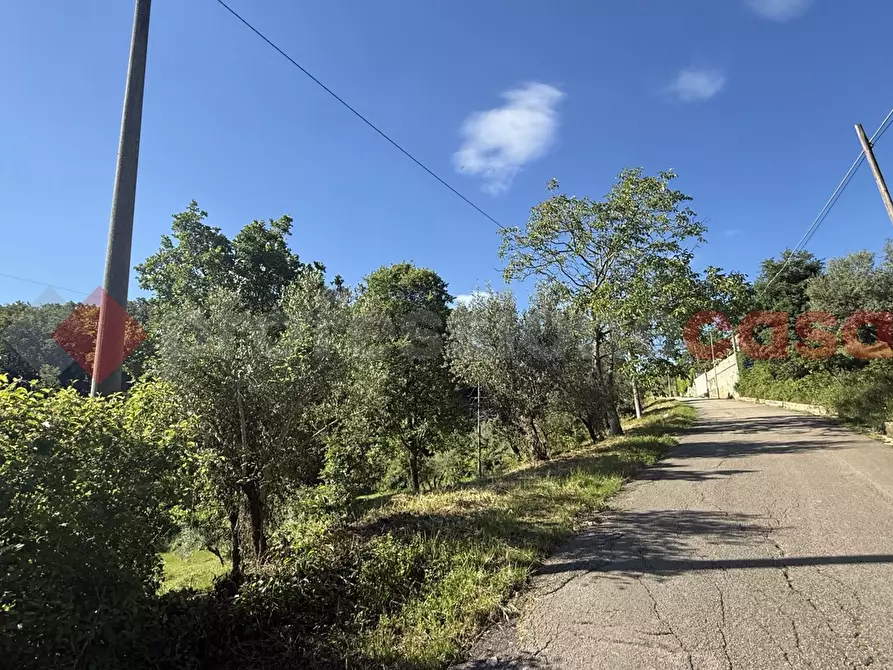 Immagine 13 di Terreno agricolo in vendita  in Via Vicinale PiÃ¨ di monte, snc a Fumone