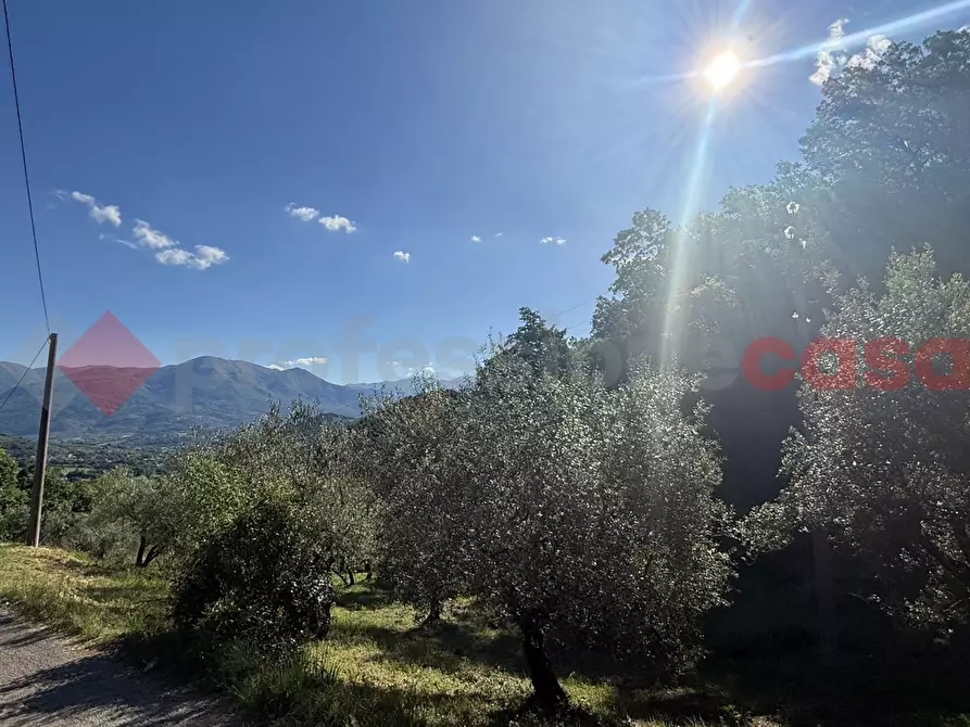 Immagine 18 di Terreno agricolo in vendita  in Via Vicinale PiÃ¨ di monte, snc a Fumone