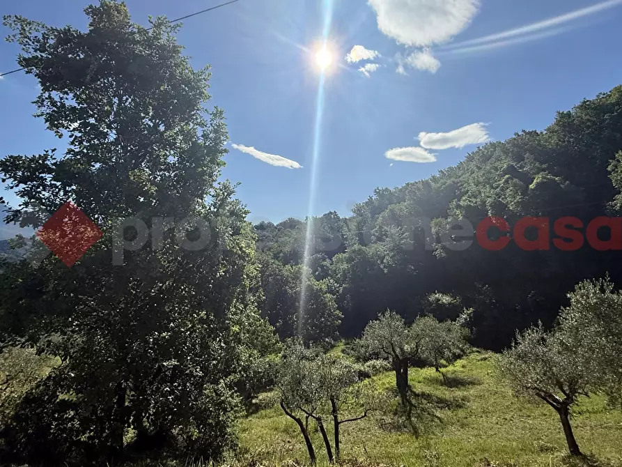 Immagine 7 di Terreno agricolo in vendita  in Via Vicinale PiÃ¨ di monte, snc a Fumone