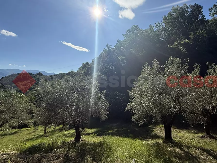 Immagine 4 di Terreno agricolo in vendita  in Via Vicinale PiÃ¨ di monte, snc a Fumone