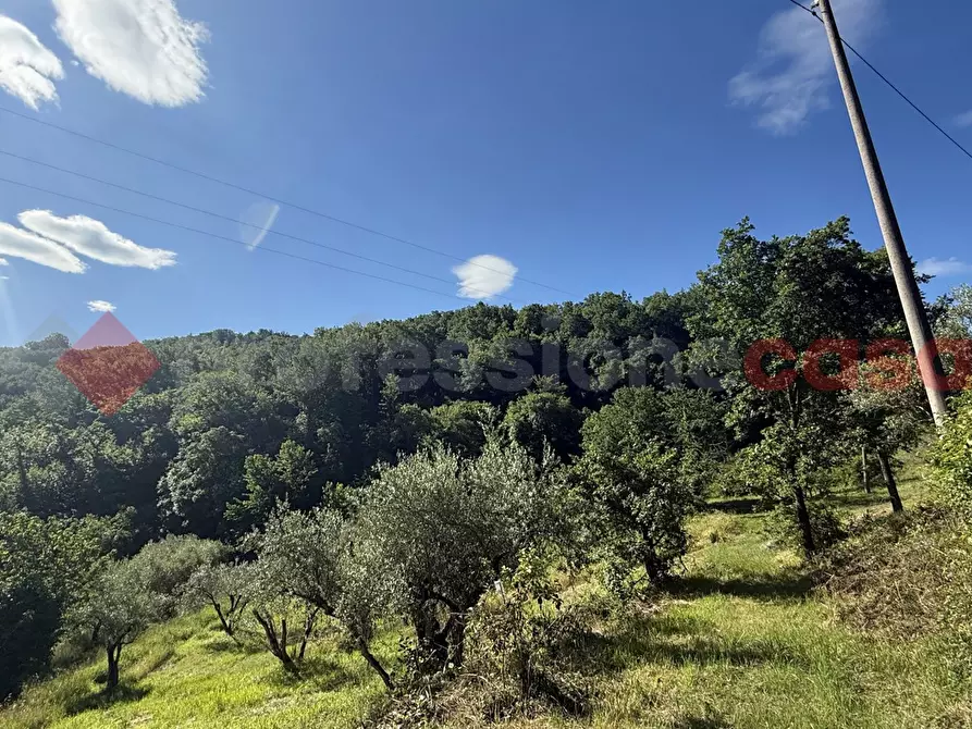 Immagine 11 di Terreno agricolo in vendita  in Via Vicinale PiÃ¨ di monte, snc a Fumone