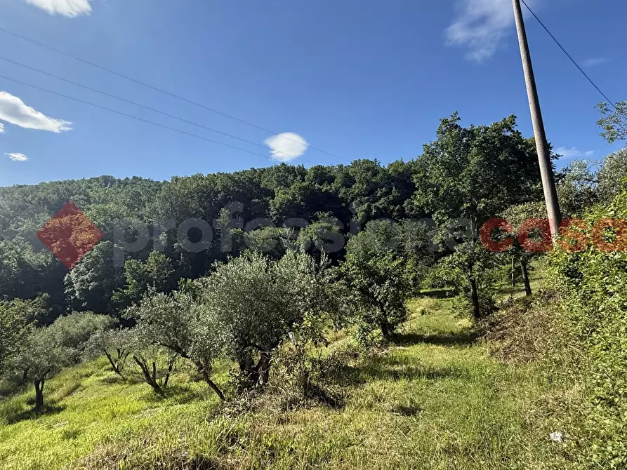 Immagine 12 di Terreno agricolo in vendita  in Via Vicinale PiÃ¨ di monte, snc a Fumone