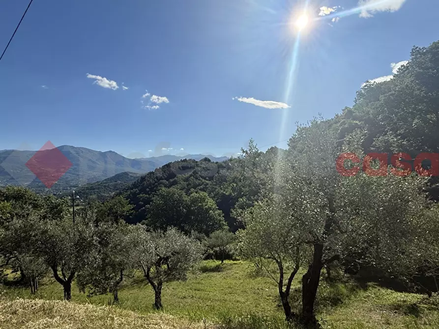 Immagine 5 di Terreno agricolo in vendita  in Via Vicinale PiÃ¨ di monte, snc a Fumone