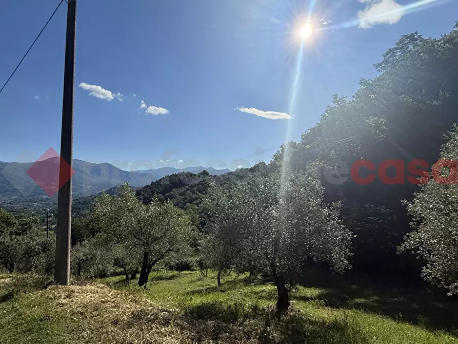 Immagine 2 di Terreno agricolo in vendita  in Via Vicinale PiÃ¨ di monte, snc a Fumone