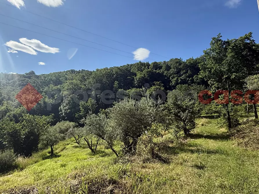 Immagine 10 di Terreno agricolo in vendita  in Via Vicinale PiÃ¨ di monte, snc a Fumone