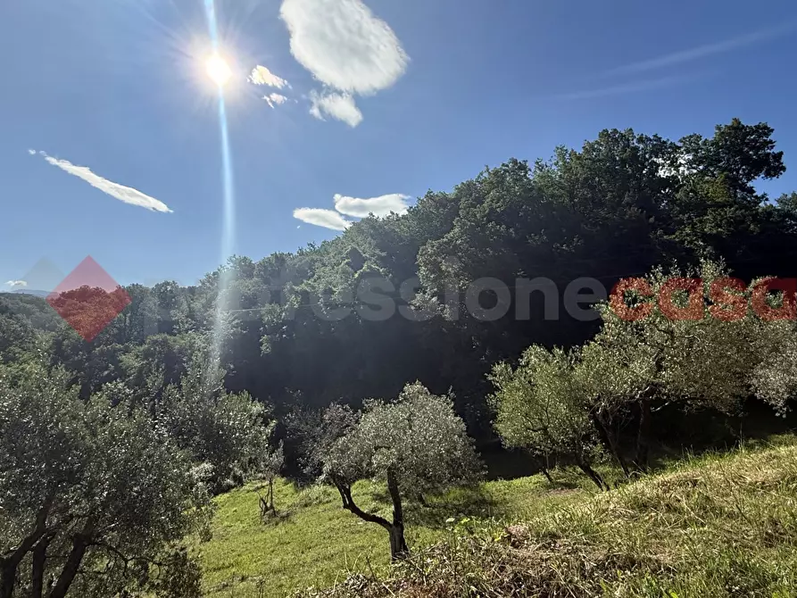 Immagine 6 di Terreno agricolo in vendita  in Via Vicinale PiÃ¨ di monte, snc a Fumone