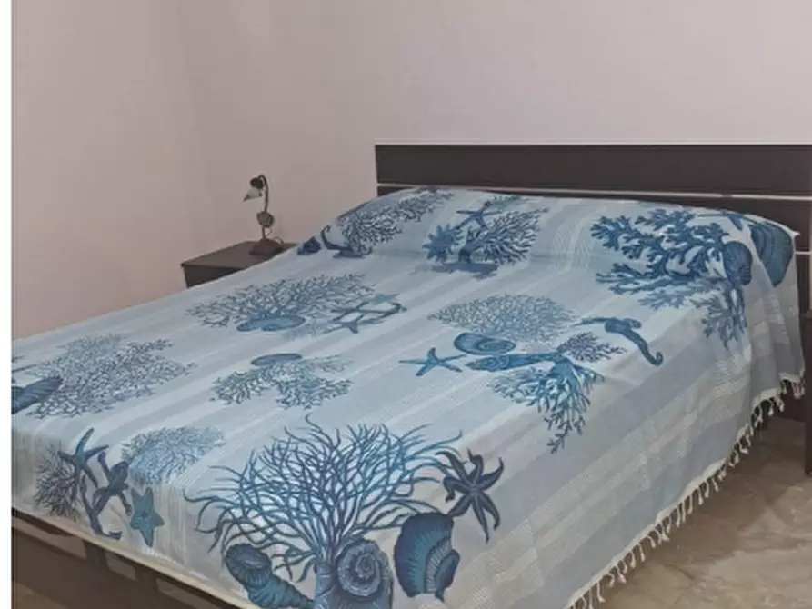 Immagine 11 di Appartamento in vendita  in Via Nazionale, 155 a Santa Maria Del Cedro