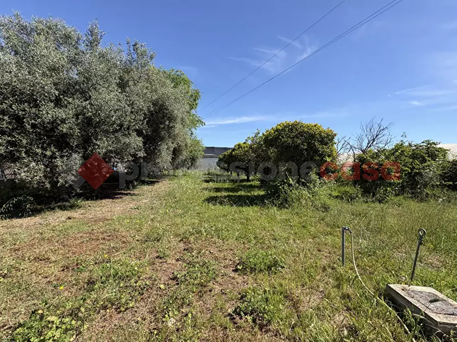 Immagine 39 di Casa bifamiliare in vendita  in Via PONTINA 148, 50 a Terracina