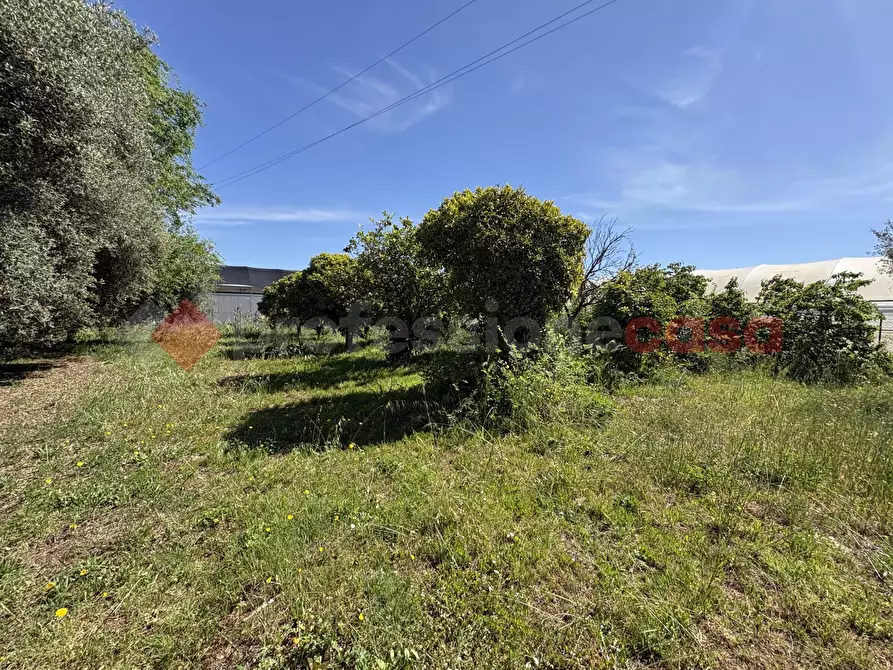 Immagine 50 di Casa bifamiliare in vendita  in Via PONTINA 148, 50 a Terracina