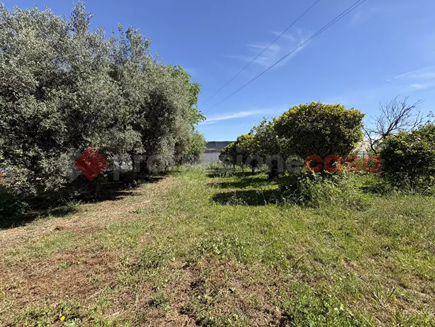 Immagine 40 di Casa bifamiliare in vendita  in Via PONTINA 148, 50 a Terracina