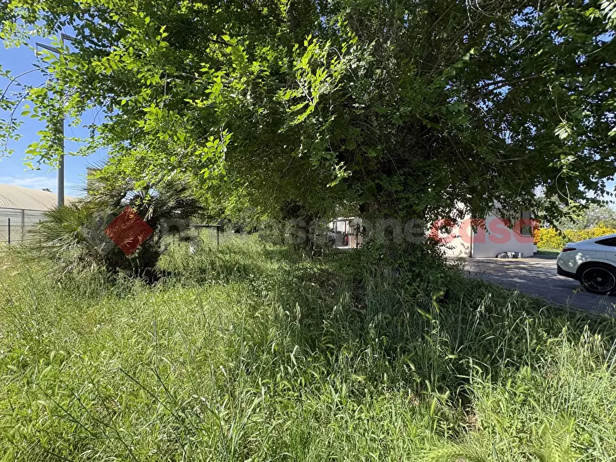 Immagine 43 di Casa bifamiliare in vendita  in Via PONTINA 148, 50 a Terracina