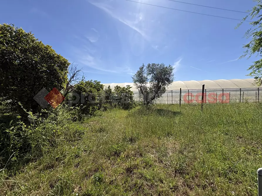 Immagine 41 di Casa bifamiliare in vendita  in Via PONTINA 148, 50 a Terracina