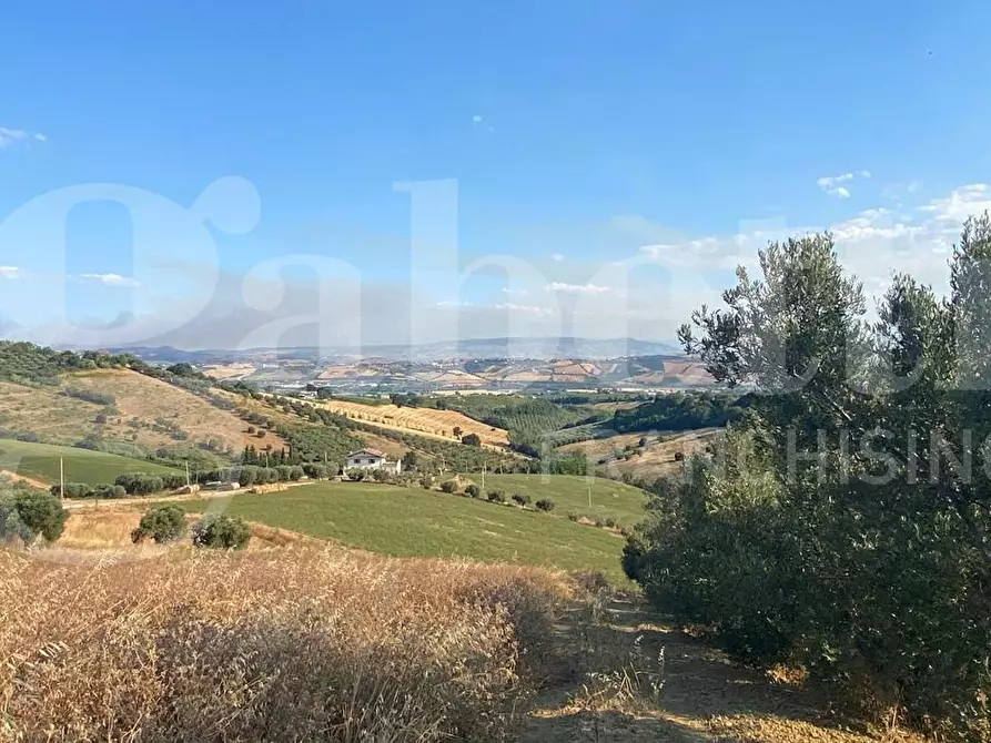 Immagine 8 di Terreno agricolo in vendita  in LocalitÃ  Centovie, 0 a Roseto Degli Abruzzi