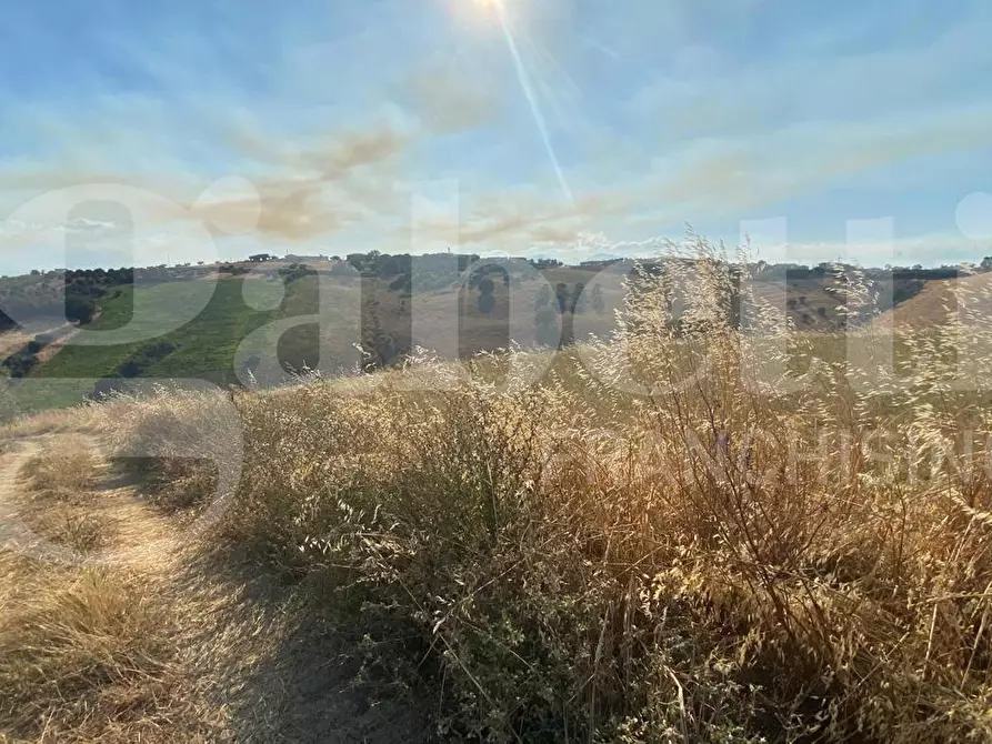 Immagine 11 di Terreno agricolo in vendita  in LocalitÃ  Centovie, 0 a Roseto Degli Abruzzi