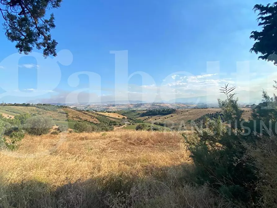 Immagine 12 di Terreno agricolo in vendita  in LocalitÃ  Centovie, 0 a Roseto Degli Abruzzi