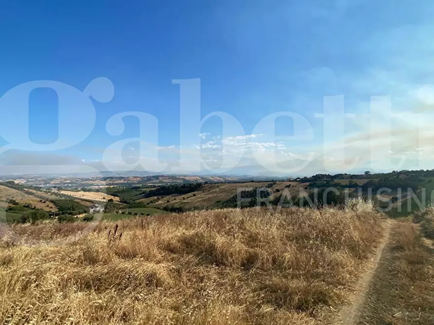 Immagine 7 di Terreno agricolo in vendita  in LocalitÃ  Centovie, 0 a Roseto Degli Abruzzi