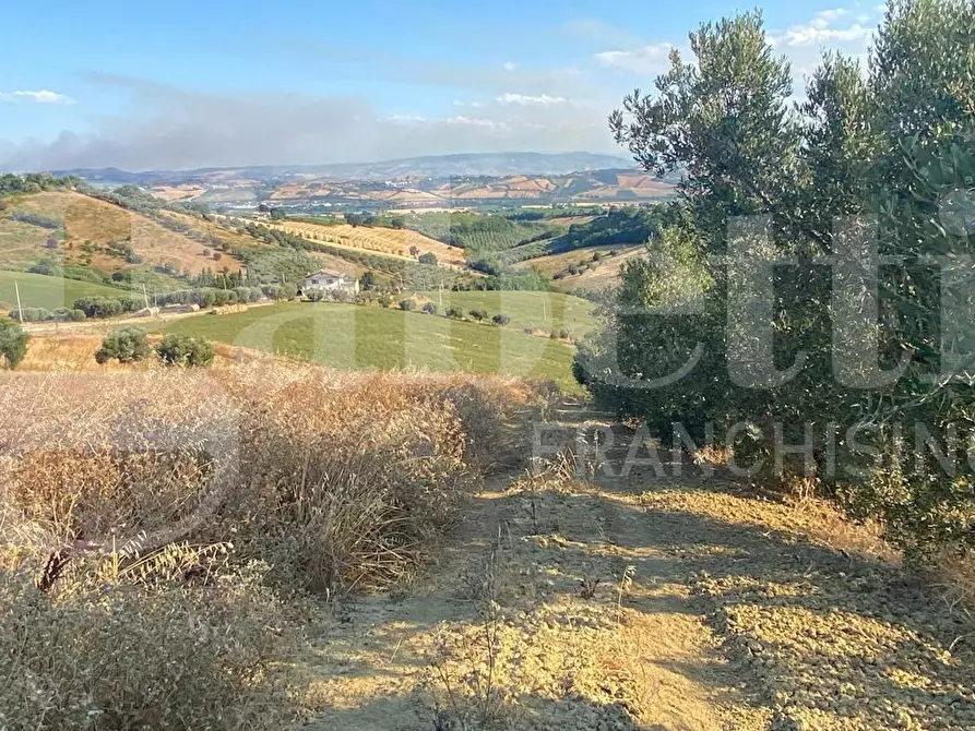 Immagine 9 di Terreno agricolo in vendita  in LocalitÃ  Centovie, 0 a Roseto Degli Abruzzi
