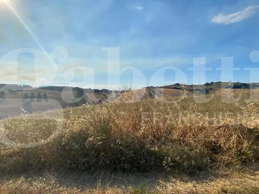 Immagine 10 di Terreno agricolo in vendita  in LocalitÃ  Centovie, 0 a Roseto Degli Abruzzi