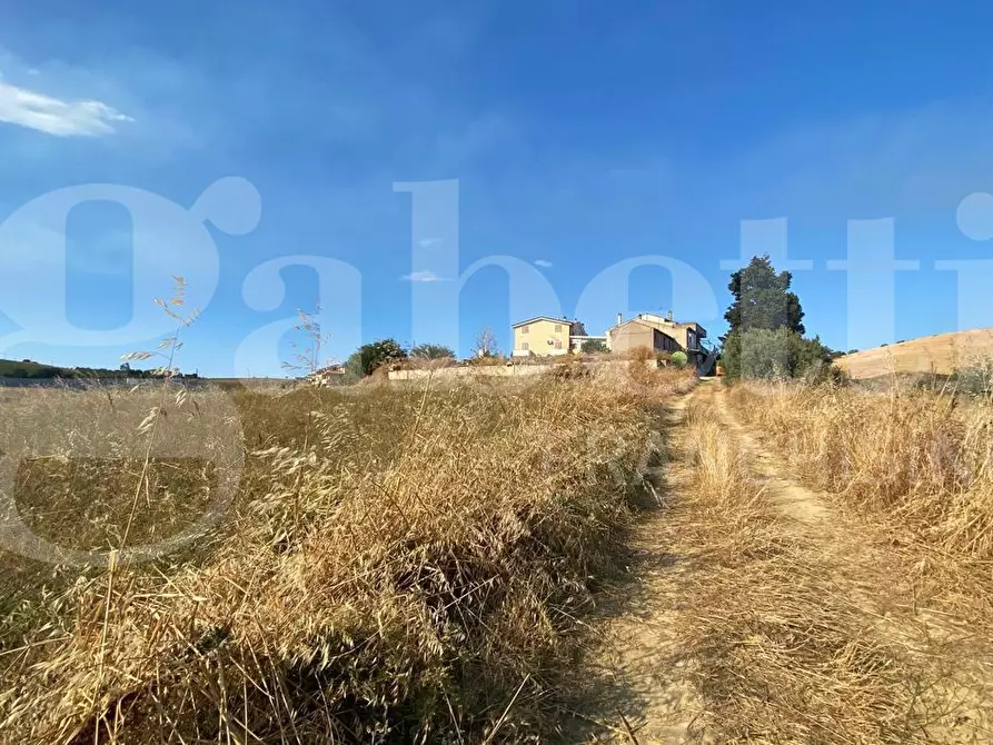 Immagine 2 di Terreno agricolo in vendita  in LocalitÃ  Centovie, 0 a Roseto Degli Abruzzi