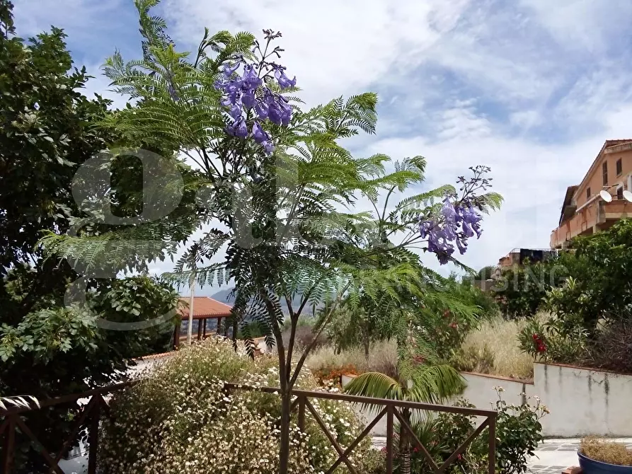 Immagine 8 di Appartamento in vendita  in Via Piana degli Albanesi a Palermo