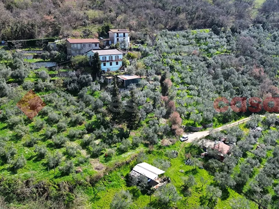 Immagine 40 di Casa indipendente in vendita  in Via SR 155, SNC a Acuto