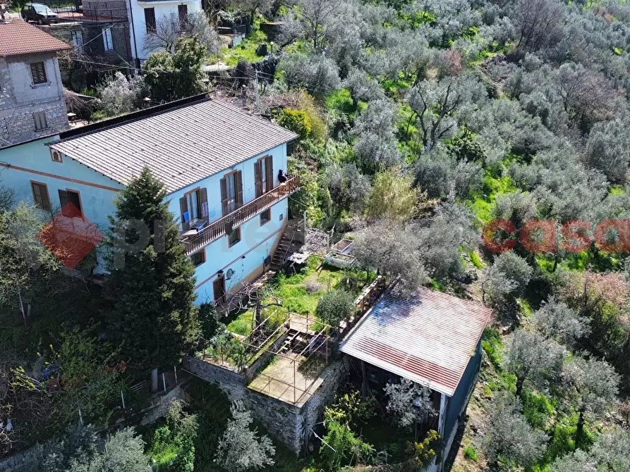 Immagine 2 di Casa indipendente in vendita  in Via SR 155, SNC a Acuto