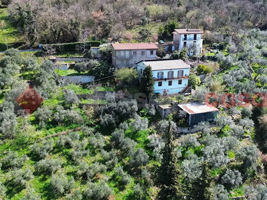 Immagine 39 di Casa indipendente in vendita  in Via SR 155, SNC a Acuto