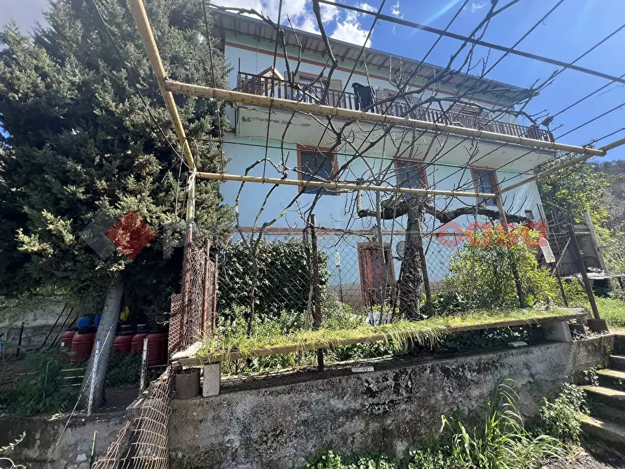 Immagine 32 di Casa indipendente in vendita  in Via SR 155, SNC a Acuto