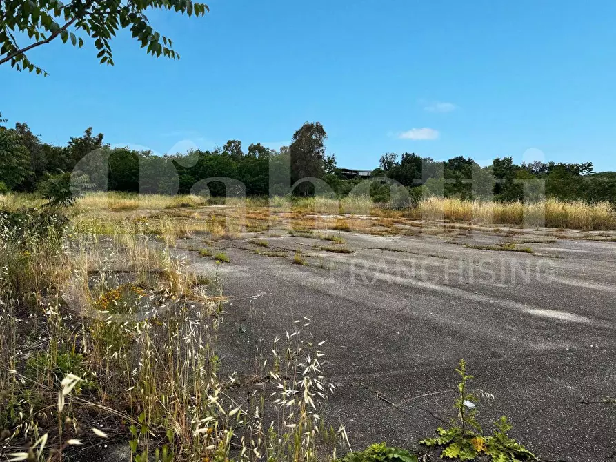 Immagine 4 di Terreno residenziale in vendita  in Strada Provinciale 141 a Pastorano