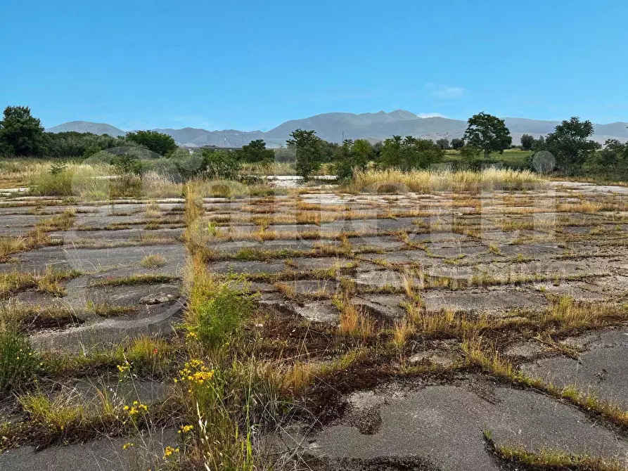 Immagine 3 di Terreno residenziale in vendita  in Strada Provinciale 141 a Pastorano