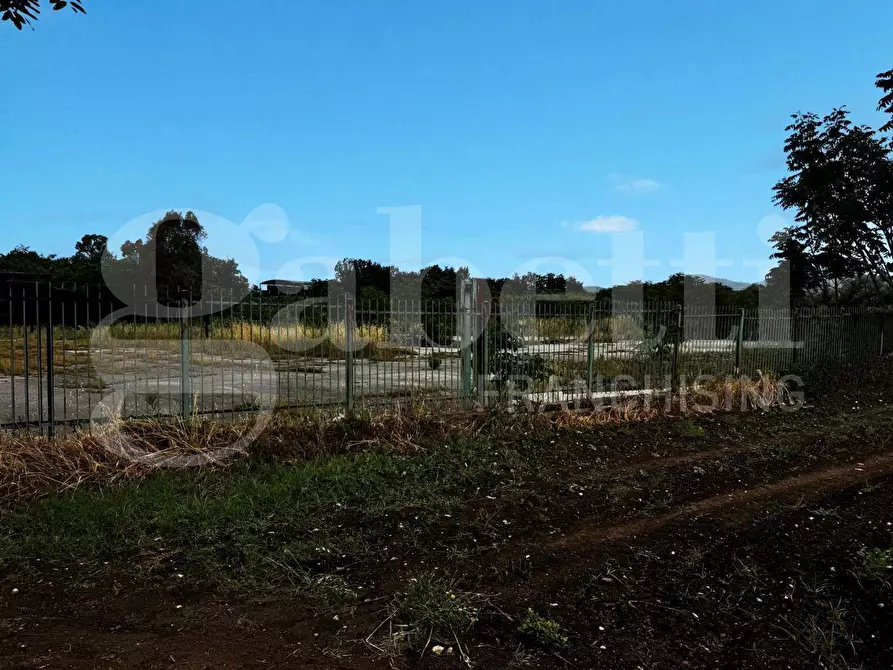 Immagine 6 di Terreno residenziale in vendita  in Strada Provinciale 141 a Pastorano
