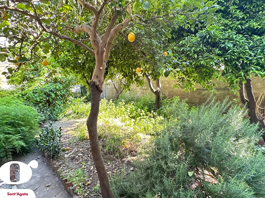 Immagine 6 di Palazzo in vendita  in Via COSENZ, 131 a Sant'agata Di Militello