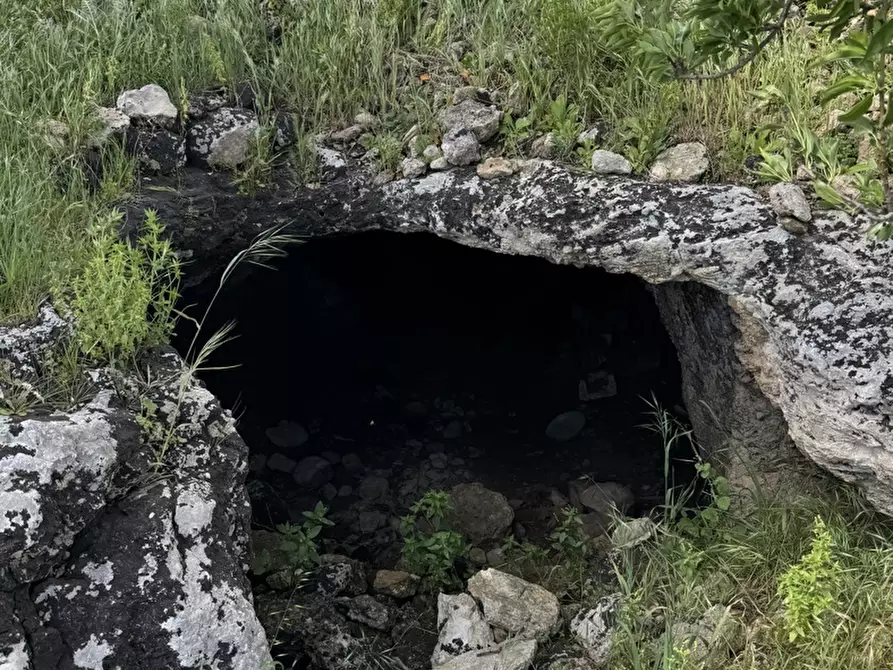 Immagine 13 di Terreno agricolo in vendita  in Via Bommiscuro, . a Noto