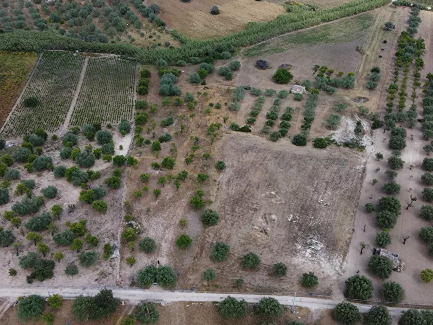 Immagine 8 di Terreno agricolo in vendita  in Via Bommiscuro, . a Noto