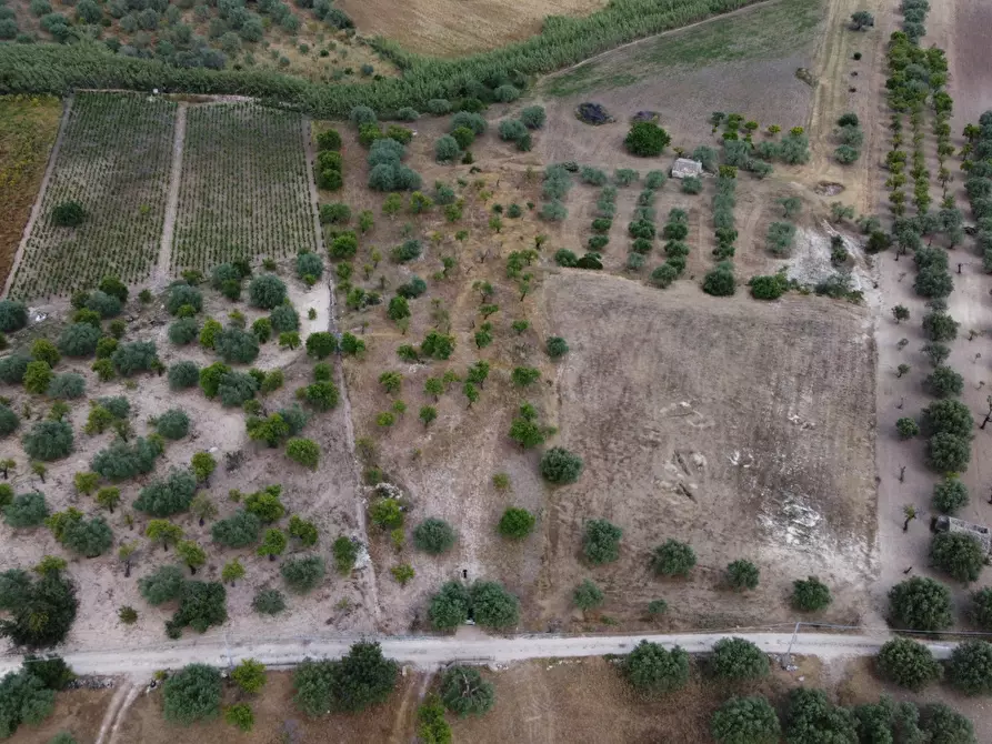 Immagine 9 di Terreno agricolo in vendita  in Via Bommiscuro, . a Noto