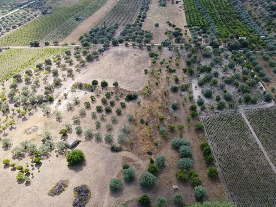 Immagine 7 di Terreno agricolo in vendita  in Via Bommiscuro, . a Noto