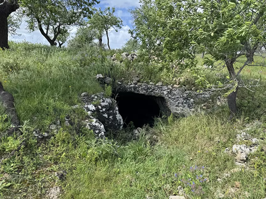 Immagine 11 di Terreno agricolo in vendita  in Via Bommiscuro, . a Noto