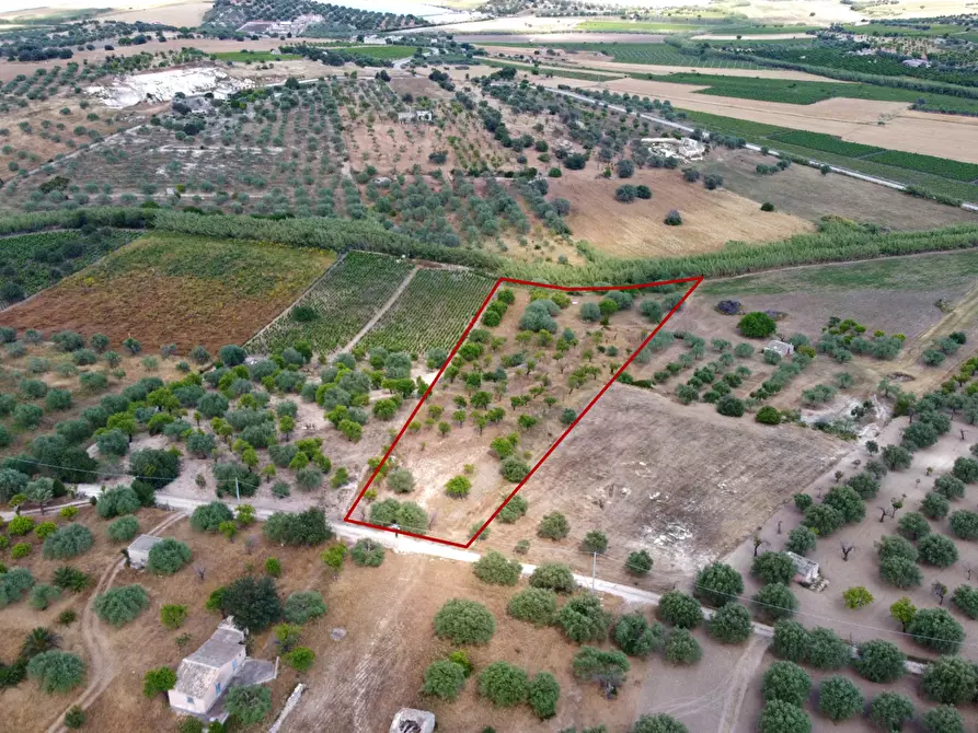 Immagine 2 di Terreno agricolo in vendita  in Via Bommiscuro, . a Noto