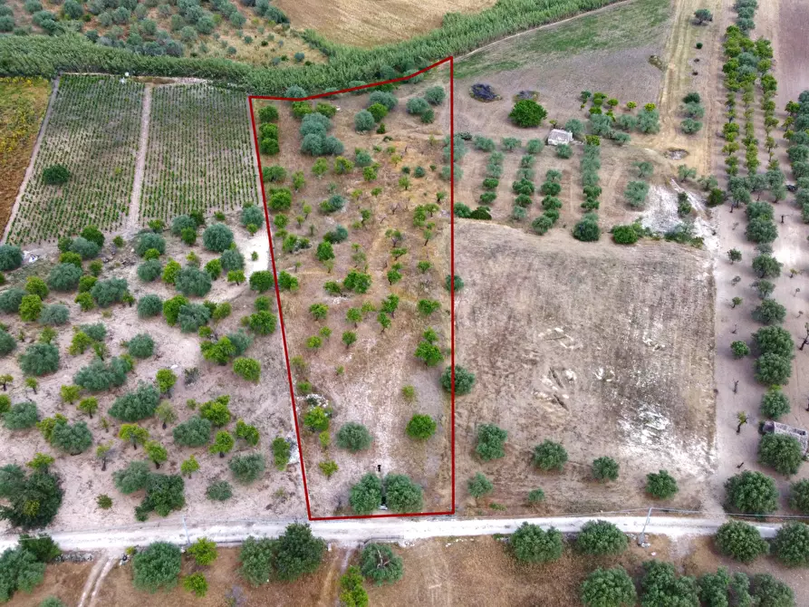 Immagine 3 di Terreno agricolo in vendita  in Via Bommiscuro, . a Noto