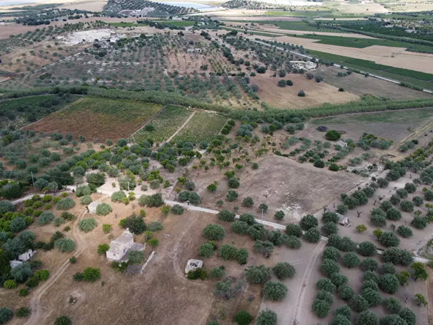 Immagine 10 di Terreno agricolo in vendita  in Via Bommiscuro, . a Noto