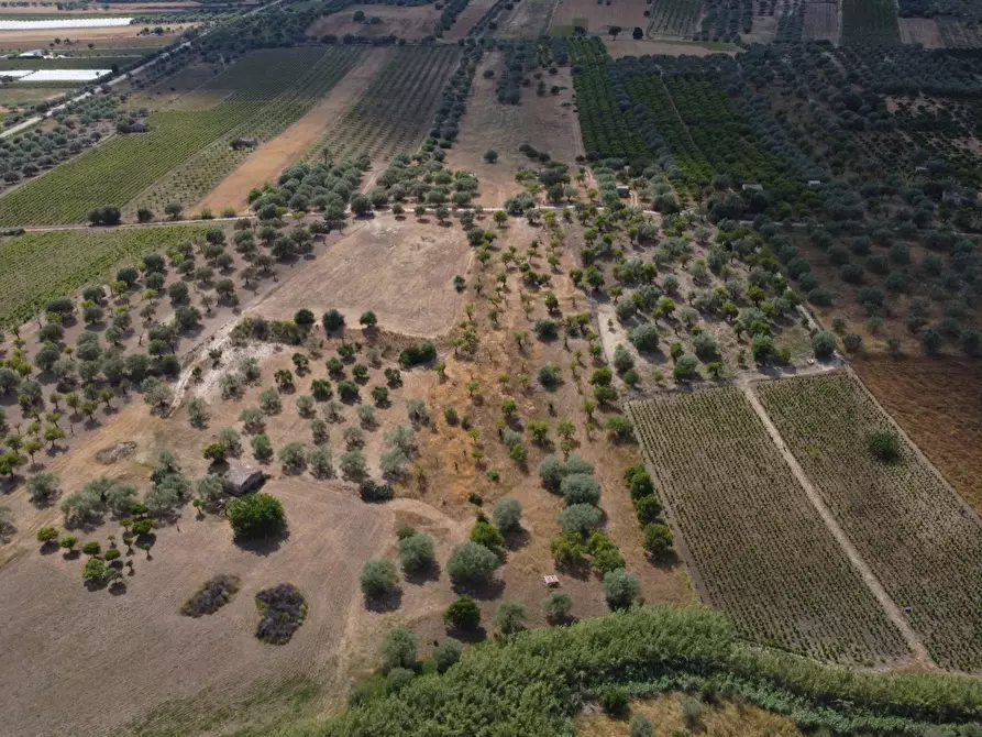 Immagine 6 di Terreno agricolo in vendita  in Via Bommiscuro, . a Noto