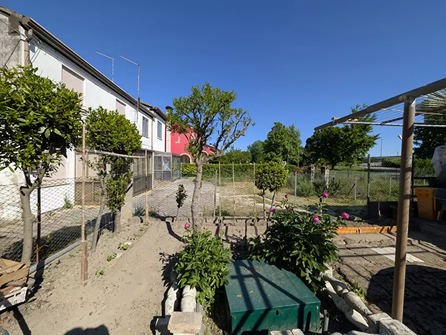 Immagine 24 di Casa indipendente in vendita  in Via Boscochiaro LocalitÃ  martinelle, 19 a Cavarzere
