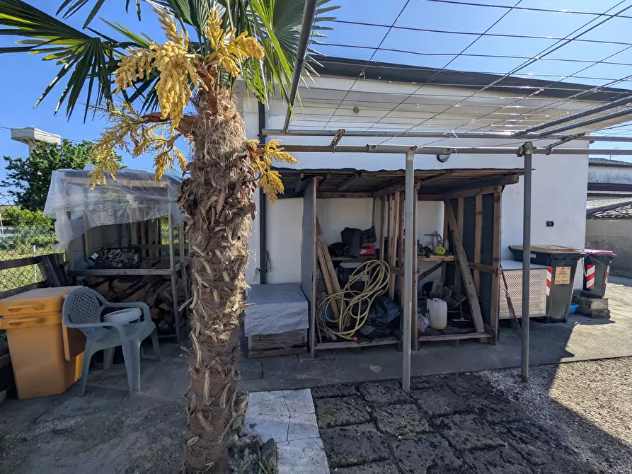 Immagine 22 di Casa indipendente in vendita  in Via Boscochiaro LocalitÃ  martinelle, 19 a Cavarzere