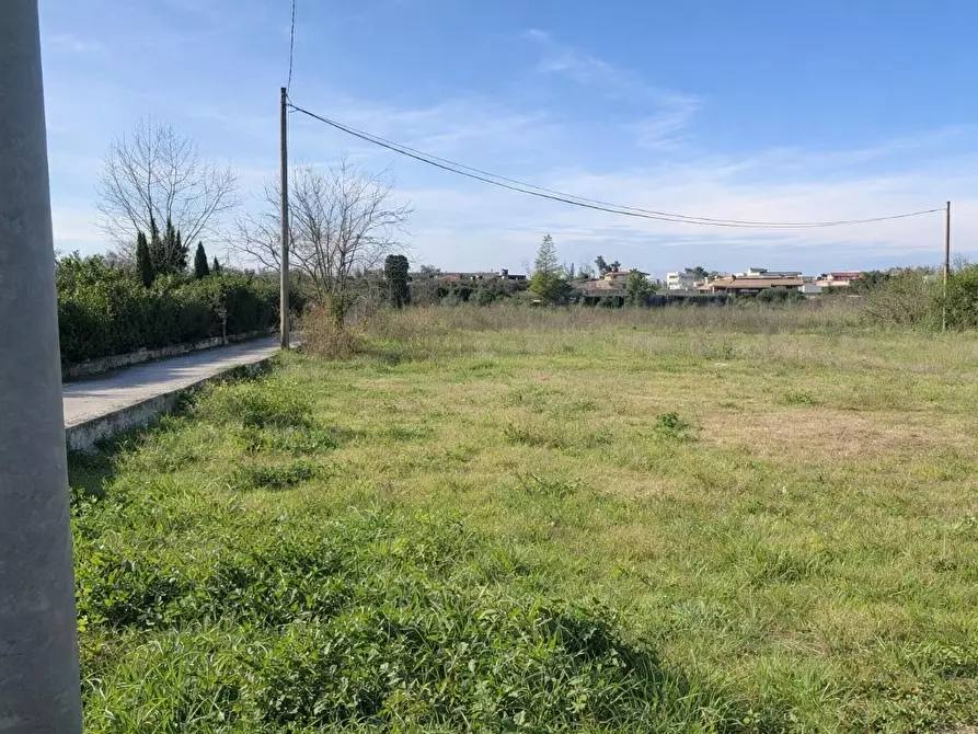 Immagine 3 di Terreno residenziale in vendita  in Via Vignariello, snc a Somma Vesuviana