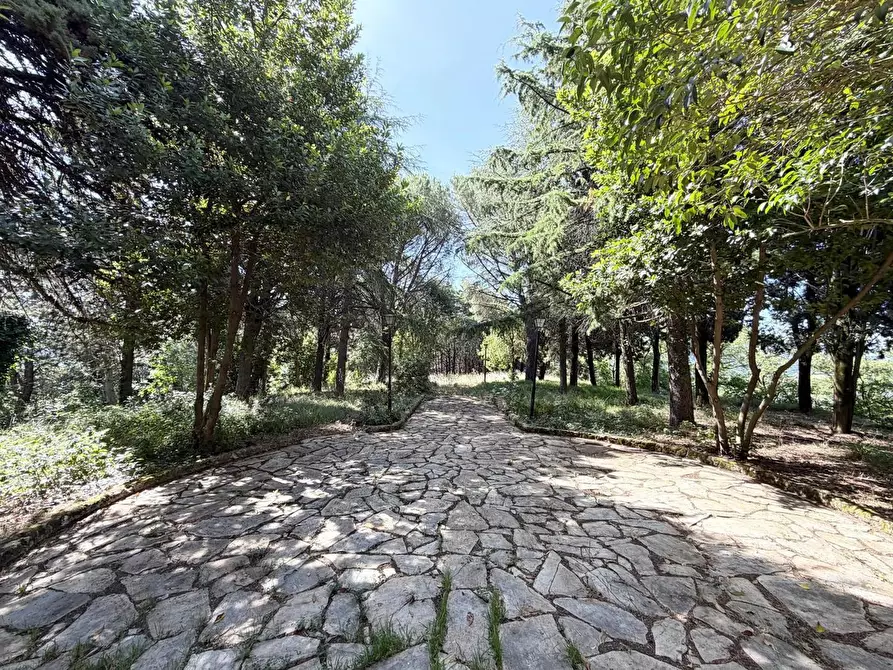 Immagine 11 di Appartamento in vendita  in Via FRAZIONE PARADISO, 1 a Assisi