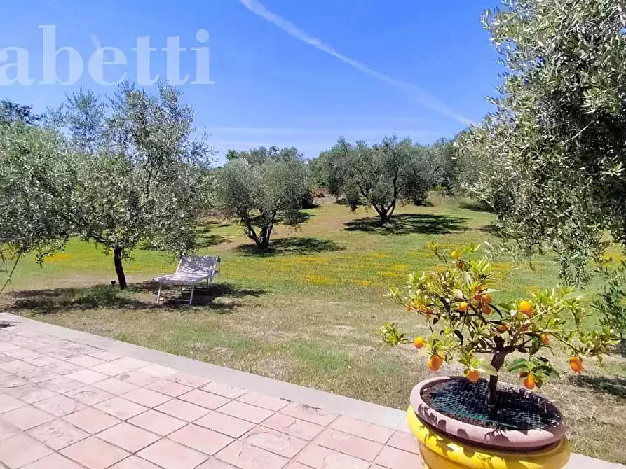 Immagine 4 di Villa in vendita  in Strada DEL GIARDINO, 185 a Senigallia