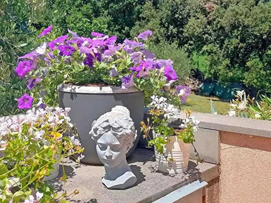 Immagine 3 di Villa in vendita  in Strada DEL GIARDINO, 185 a Senigallia
