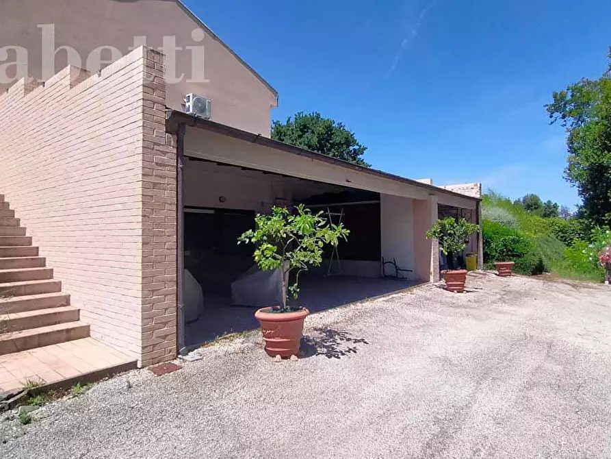 Immagine 7 di Villa in vendita  in Strada DEL GIARDINO, 185 a Senigallia